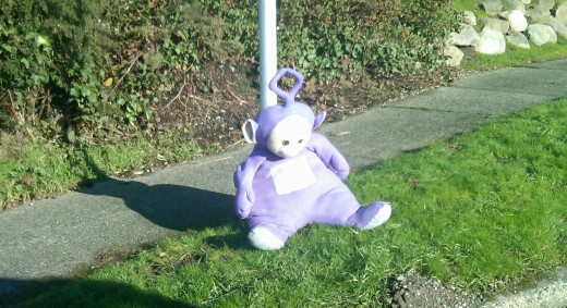 Neighbor T Woo writes: "Hope Tinky Winky slept indoors last night as he didn't have his jacket on yesterday when he was found lounging around this street sign on 13th Ave S...."